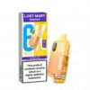 Lost Mary BM6000 Prefilled Pod Kit